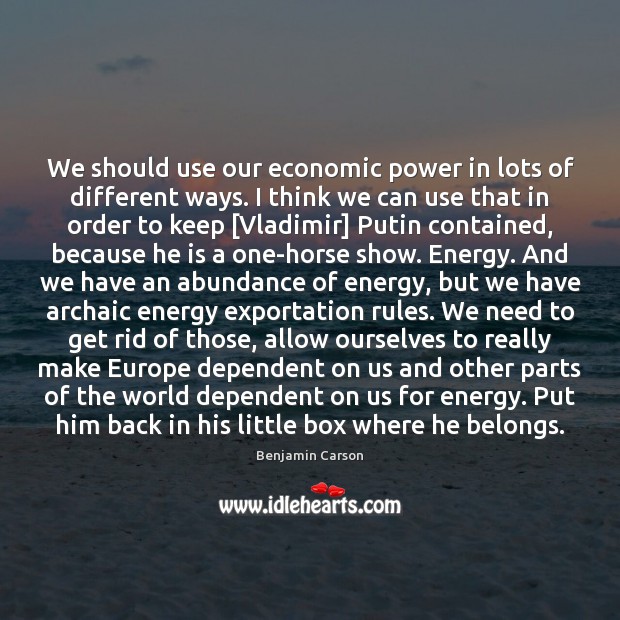 We should use our economic power in lots of different ways. I Benjamin Carson Picture Quote