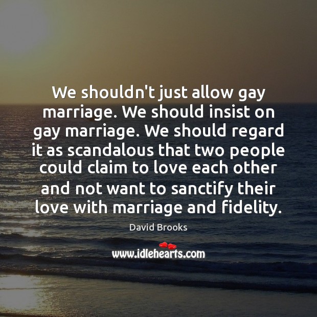 We shouldn’t just allow gay marriage. We should insist on gay marriage. David Brooks Picture Quote