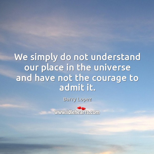 We simply do not understand our place in the universe and have not the courage to admit it. Image