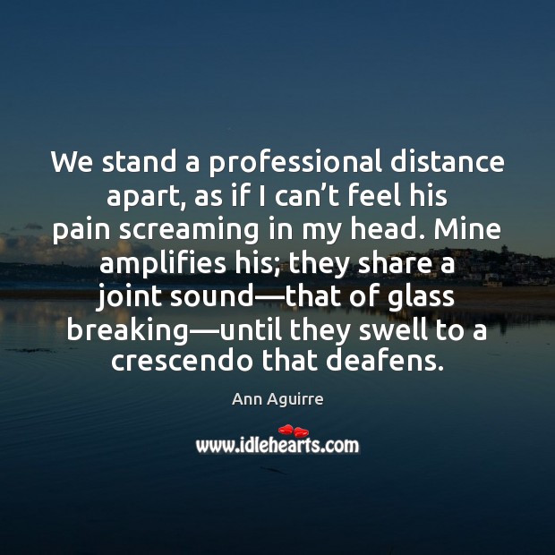 We stand a professional distance apart, as if I can’t feel Ann Aguirre Picture Quote