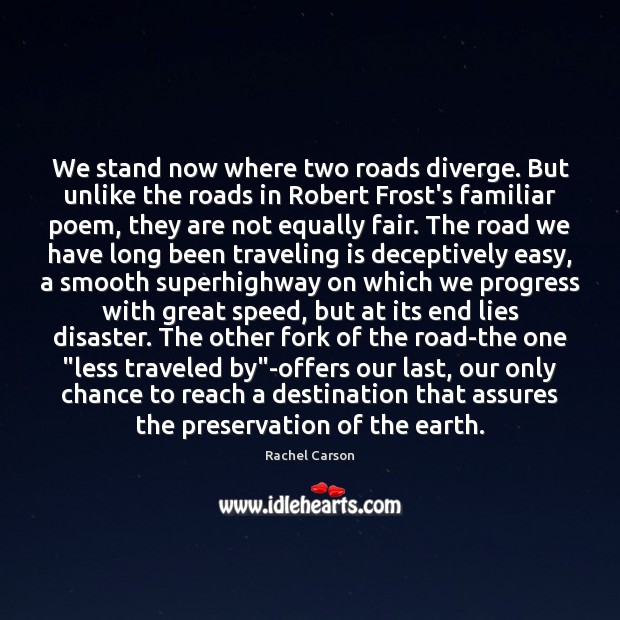 We stand now where two roads diverge. But unlike the roads in Rachel Carson Picture Quote
