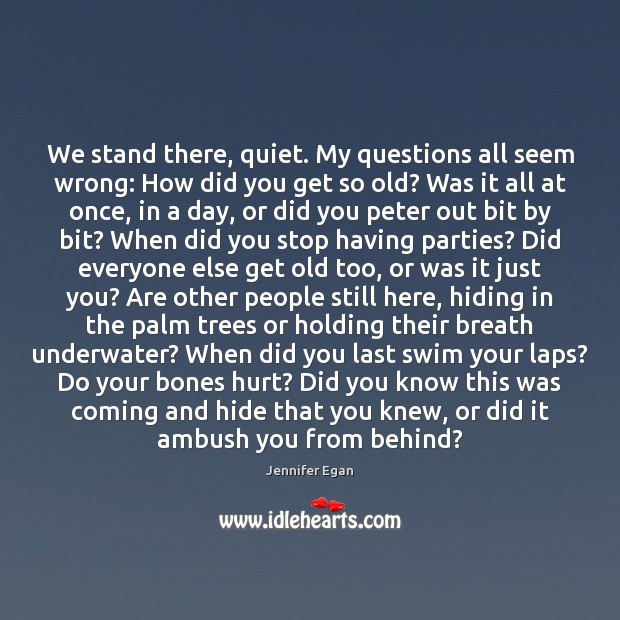 We stand there, quiet. My questions all seem wrong: How did you Jennifer Egan Picture Quote