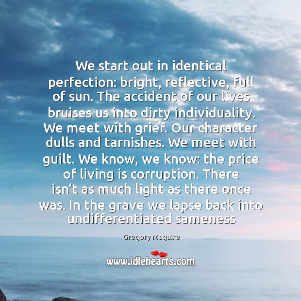 We start out in identical perfection: bright, reflective, full of sun. The Gregory Maguire Picture Quote