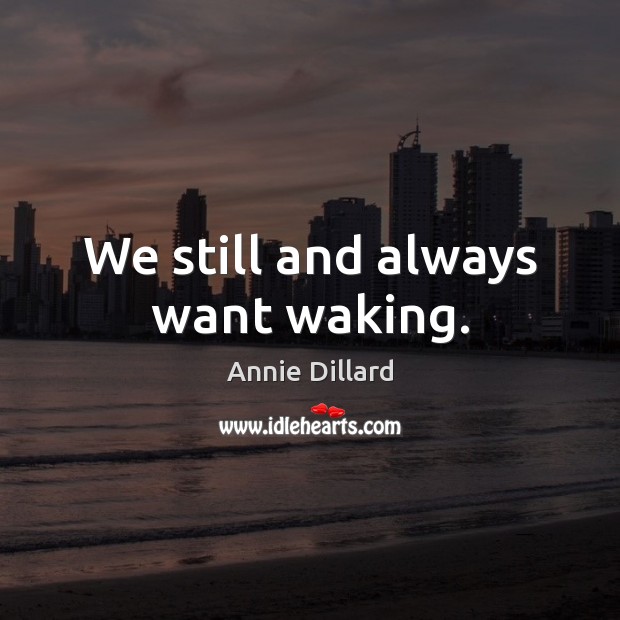 We still and always want waking. Annie Dillard Picture Quote