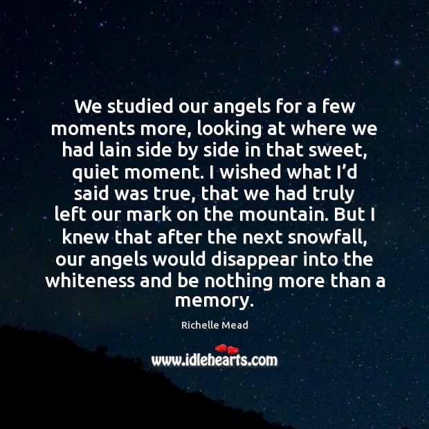 We studied our angels for a few moments more, looking at where Richelle Mead Picture Quote