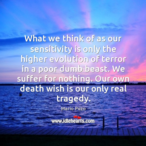 We suffer for nothing. Our own death wish is our only real tragedy. Mario Puzo Picture Quote