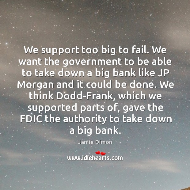 We support too big to fail. We want the government to be able to take down a big Fail Quotes Image