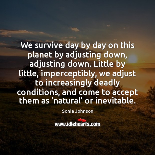 We survive day by day on this planet by adjusting down, adjusting Sonia Johnson Picture Quote