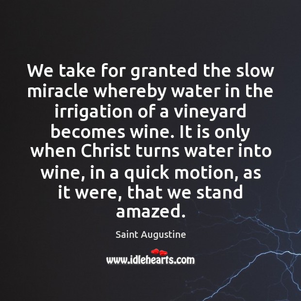 We take for granted the slow miracle whereby water in the irrigation Saint Augustine Picture Quote