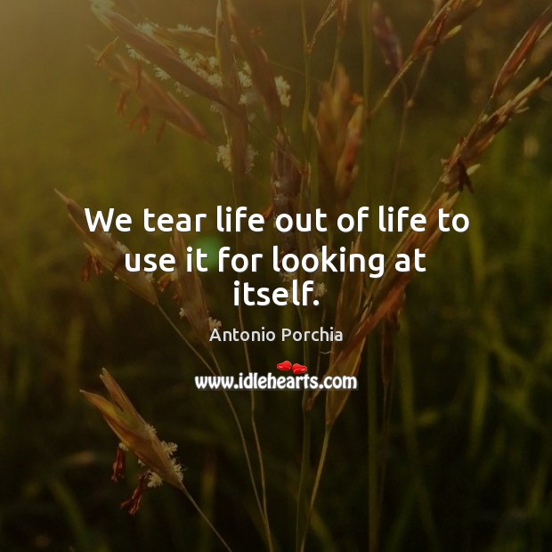 We tear life out of life to use it for looking at itself. Image