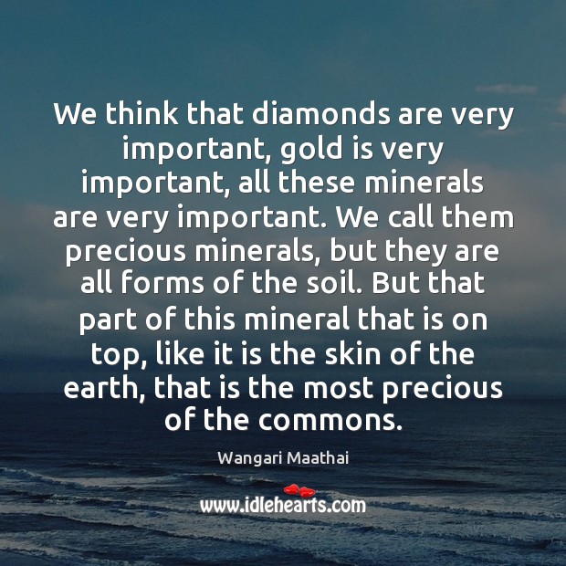 We think that diamonds are very important, gold is very important, all Wangari Maathai Picture Quote
