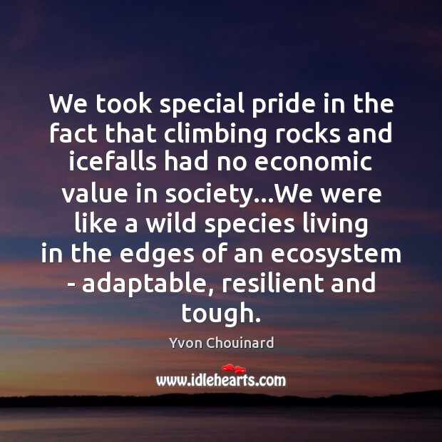 We took special pride in the fact that climbing rocks and icefalls Yvon Chouinard Picture Quote