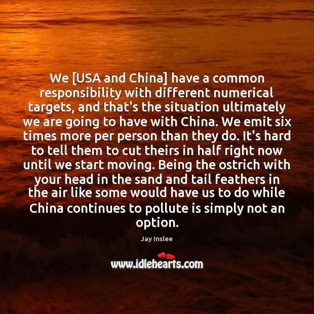 We [USA and China] have a common responsibility with different numerical targets, Jay Inslee Picture Quote