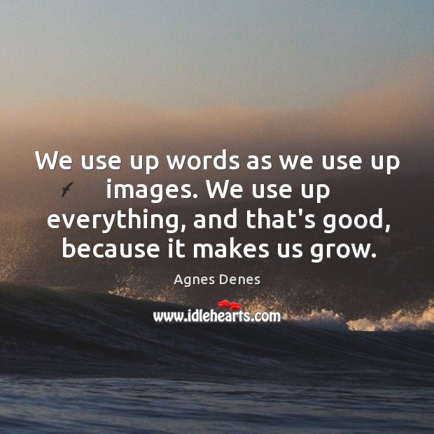 We use up words as we use up images. We use up Agnes Denes Picture Quote