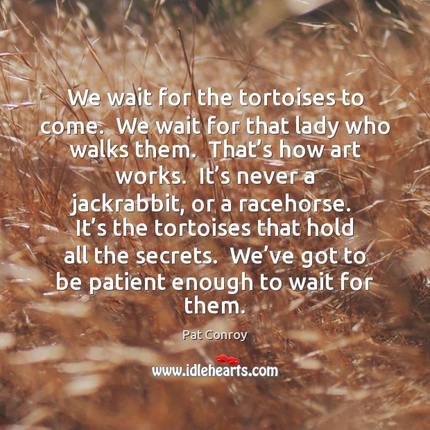 We wait for the tortoises to come.  We wait for that lady Pat Conroy Picture Quote