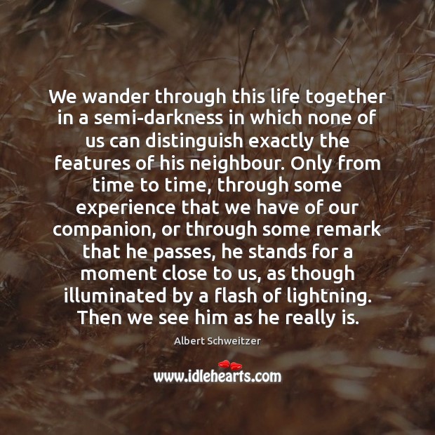 We wander through this life together in a semi-darkness in which none Albert Schweitzer Picture Quote