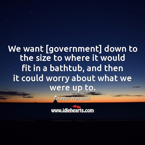 We want [government] down to the size to where it would fit Grover Norquist Picture Quote