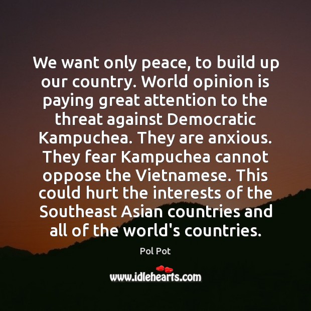 We want only peace, to build up our country. World opinion is Hurt Quotes Image