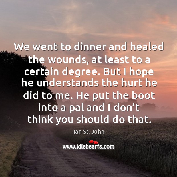 We went to dinner and healed the wounds, at least to a certain degree. Ian St. John Picture Quote