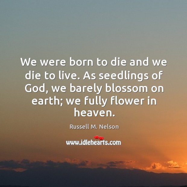 We were born to die and we die to live. As seedlings of God, we barely blossom on earth; we fully flower in heaven. Image