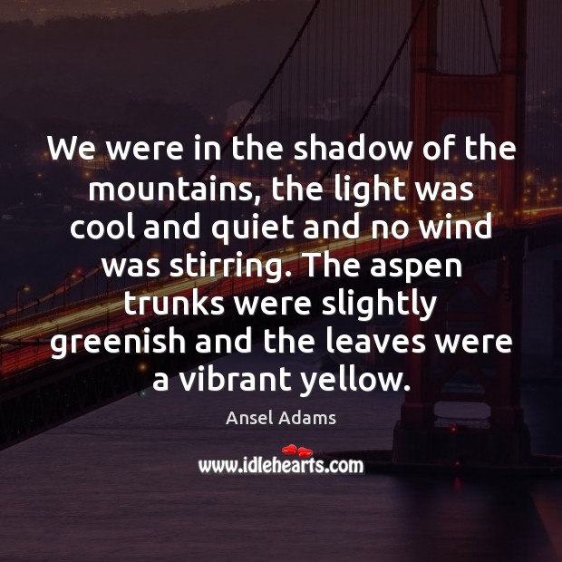 We were in the shadow of the mountains, the light was cool Ansel Adams Picture Quote