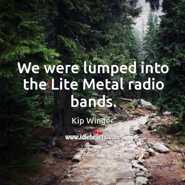 We were lumped into the lite metal radio bands. Kip Winger Picture Quote