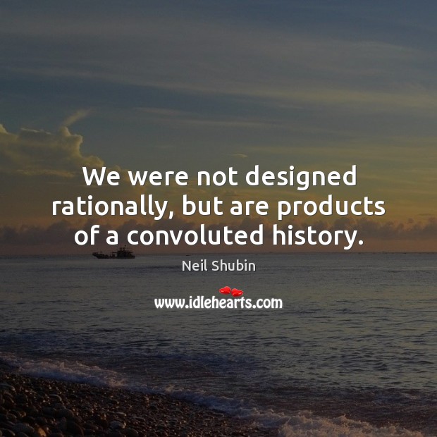 We were not designed rationally, but are products of a convoluted history. Image