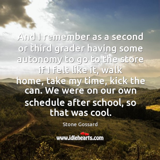 We were on our own schedule after school, so that was cool. Stone Gossard Picture Quote