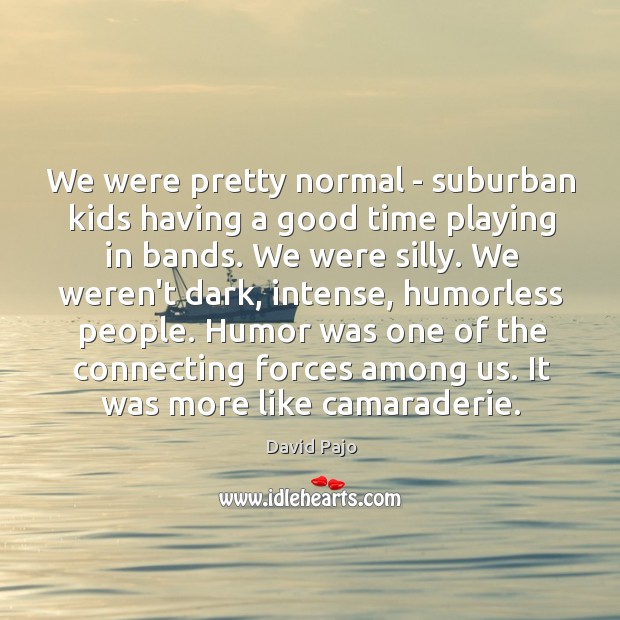 We were pretty normal – suburban kids having a good time playing David Pajo Picture Quote