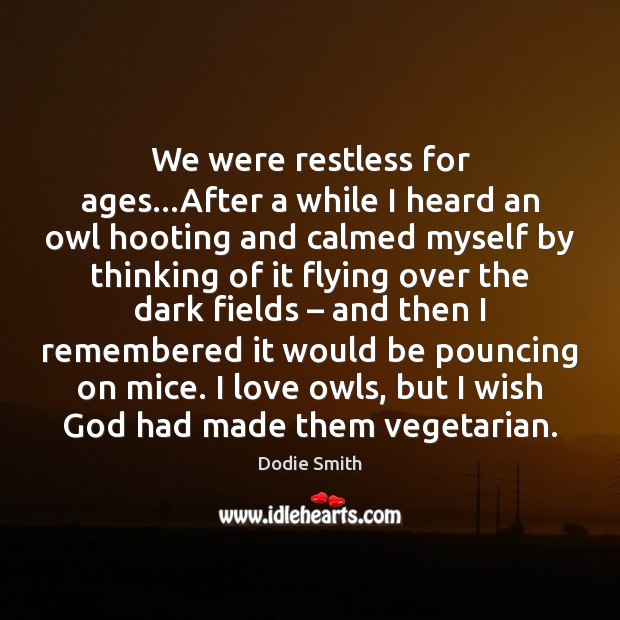 We were restless for ages…After a while I heard an owl Image