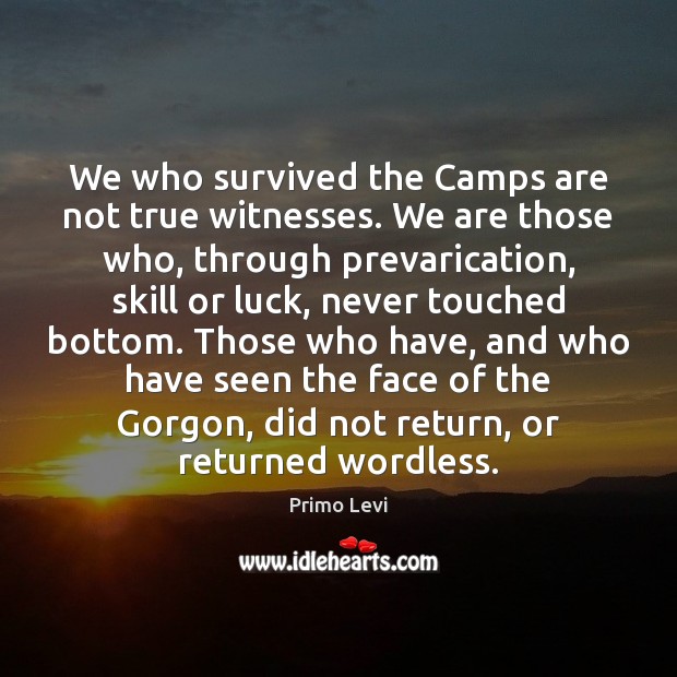 We who survived the Camps are not true witnesses. We are those Image