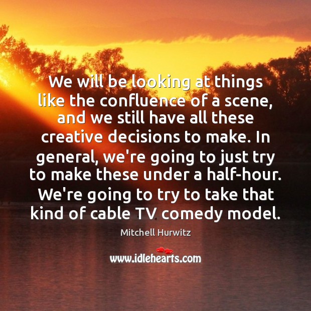We will be looking at things like the confluence of a scene, Mitchell Hurwitz Picture Quote