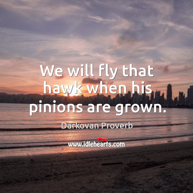We will fly that hawk when his pinions are grown. Darkovan Proverbs Image