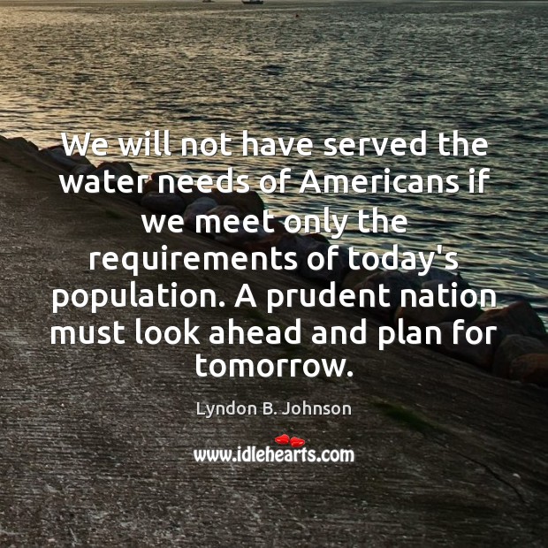 We will not have served the water needs of Americans if we Lyndon B. Johnson Picture Quote