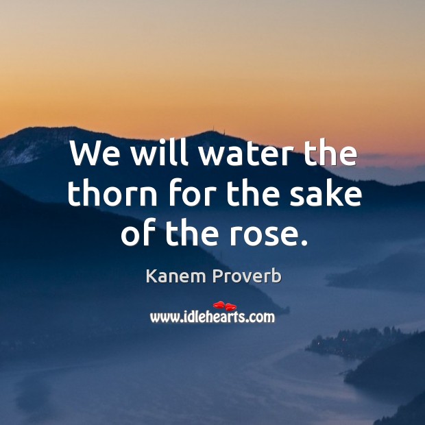 We will water the thorn for the sake of the rose. Kanem Proverbs Image