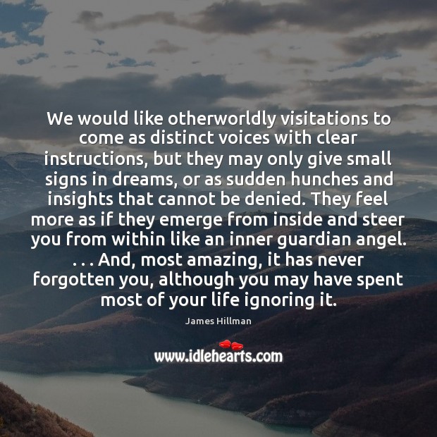 We would like otherworldly visitations to come as distinct voices with clear James Hillman Picture Quote