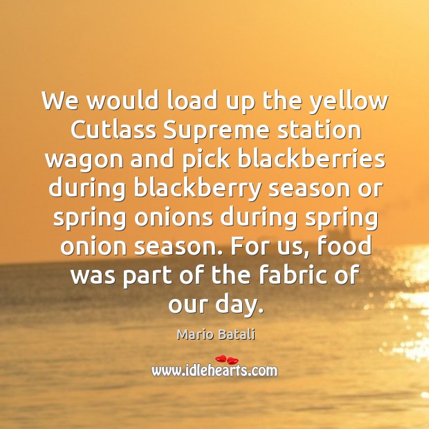 We would load up the yellow cutlass supreme station wagon and pick blackberries during blackberry Image