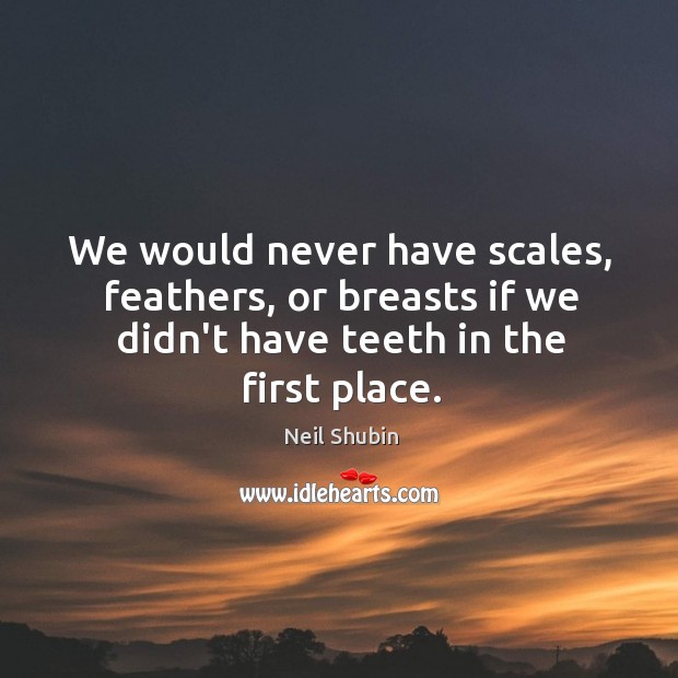 We would never have scales, feathers, or breasts if we didn’t have Neil Shubin Picture Quote