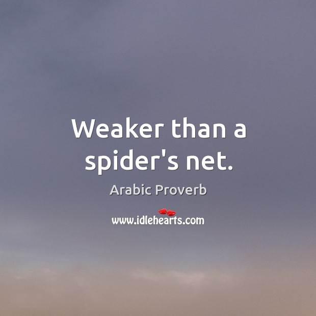 Weaker than a spider’s net. Arabic Proverbs Image