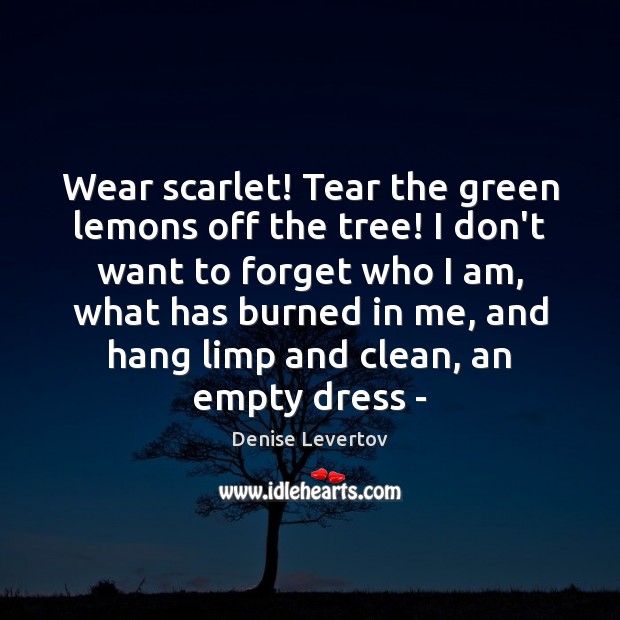 Wear scarlet! Tear the green lemons off the tree! I don’t want Image