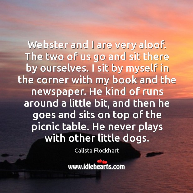 Webster and I are very aloof. The two of us go and sit there by ourselves. Calista Flockhart Picture Quote