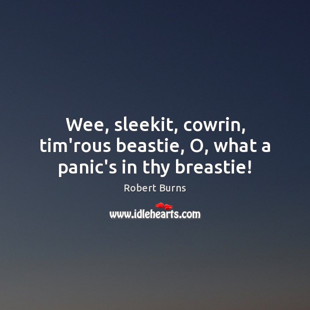 Wee, sleekit, cowrin, tim’rous beastie, O, what a panic’s in thy breastie! Robert Burns Picture Quote