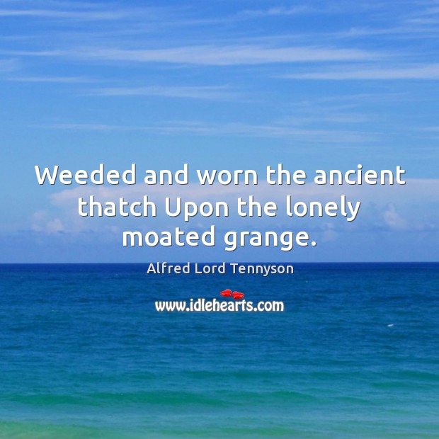 Weeded and worn the ancient thatch Upon the lonely moated grange. Alfred Lord Tennyson Picture Quote