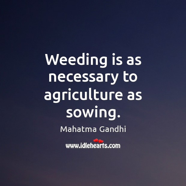 Weeding is as necessary to agriculture as sowing. Image