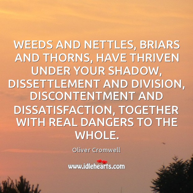 WEEDS AND NETTLES, BRIARS AND THORNS, HAVE THRIVEN UNDER YOUR SHADOW, DISSETTLEMENT Oliver Cromwell Picture Quote