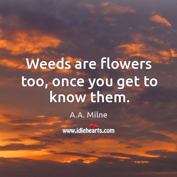 Weeds are flowers too, once you get to know them. Image