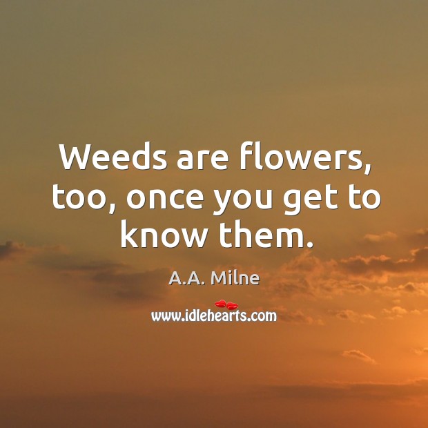 Weeds are flowers, too, once you get to know them. Image