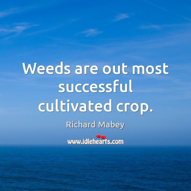 Weeds are out most successful cultivated crop. Image