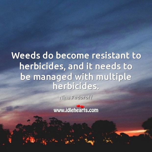 Weeds do become resistant to herbicides, and it needs to be managed Nina Fedoroff Picture Quote