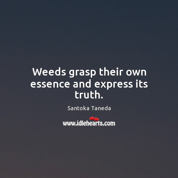 Weeds grasp their own essence and express its truth. Santoka Taneda Picture Quote